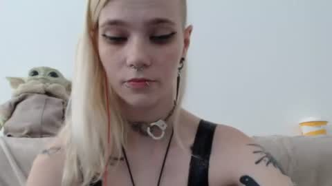 brookewylde_20 online show from 07-04-26, 10:21