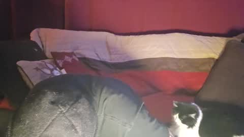 Snapshot of brownboyt chatting on 12-19-25, 05:58 brownboyt online show from 12-19-25, 05:58