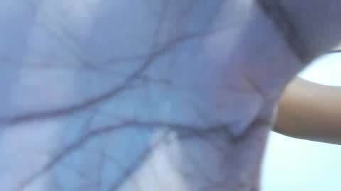 Snapshot of brownguy2505 chatting on 01-19-26, 12:53 brownguy2505 online show from 01-19-26, 12:53