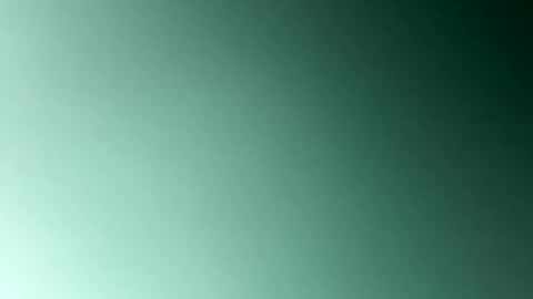 EtherealLilac online show from 01-05-25, 02:38