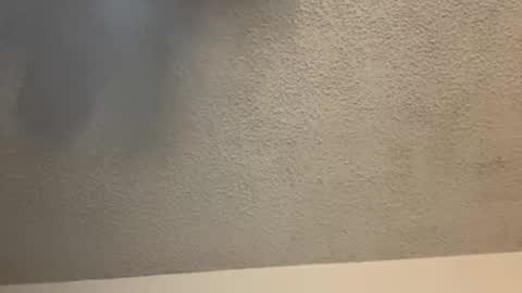 EtherealLilac online show from 02-11-25, 03:50