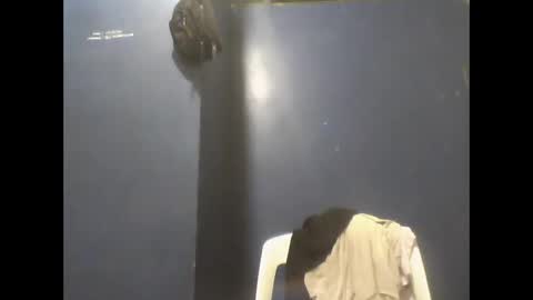 Snapshot of brunohot30 chatting on 09-23-25, 11:41 brunohot30 online show from 09-23-25, 11:41