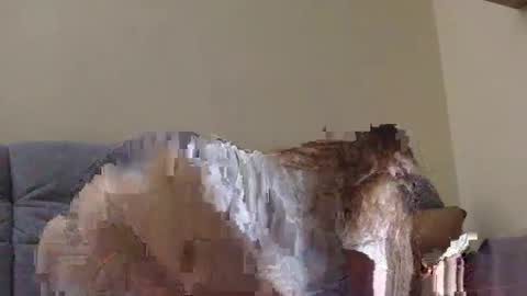 Snapshot of brutecia chatting on 09-16-25, 06:42 brutecia online show from 09-16-25, 06:42