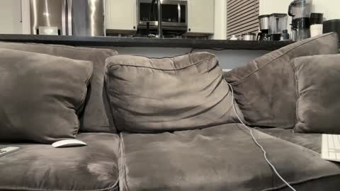 brwm2013 online show from 01-12-25, 03:07