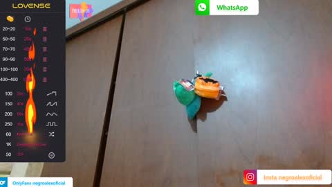 Enjoy the best muscle straws   online show from 01-27-25, 02:10