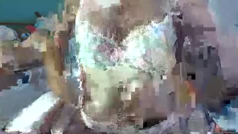 NabiBubbles online show from 10-13-25, 02:33