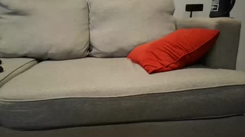 Snapshot of buck_camstar chatting on 09-23-25, 02:42 Buck online show from 09-23-25, 02:42