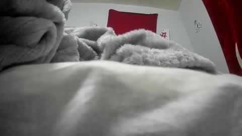 Snapshot of budsonly33 chatting on 12-12-24, 07:52 budsonly33 online show from 12-12-24, 07:52