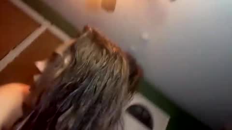 Yourtrippyhippy online show from 11-28-25, 12:57