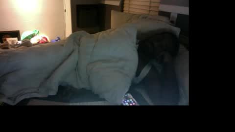 Snapshot of bungalowentertainment chatting on 12-17-25, 11:16 Bungalow Entertainment online show from 12-17-25, 11:16