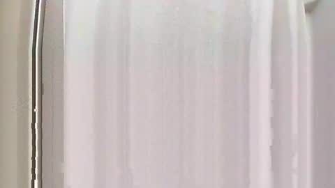 Burnout1315 online show from 12-28-24, 05:03