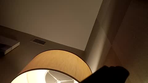 bushdoctor1 online show from 12-02-24, 06:09