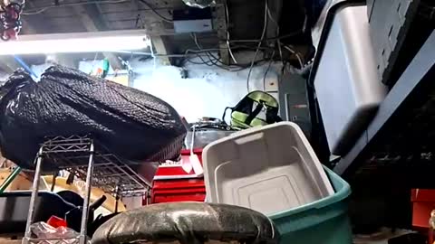 bushdoctor1 online show from 09-10-25, 09:53