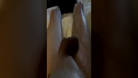 butt4me1 online show from 06-17-26, 12:35