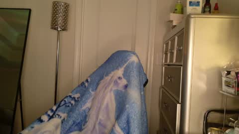 butterfly booty online show from 03-31-26, 07:42