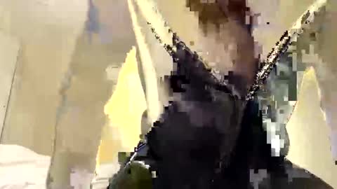 Snapshot of buynowlive chatting on 05-18-26, 03:18 buynowlive online show from 05-18-26, 03:18