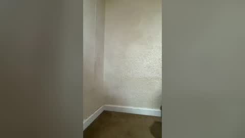 Snapshot of buynowlive chatting on 07-29-26, 11:03 buynowlive online show from 07-29-26, 11:03