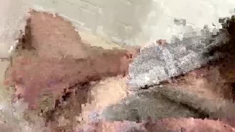 Snapshot of buzzed_gaming chatting on 02-17-25, 05:14 buzzed_gaming online show from 02-17-25, 05:14