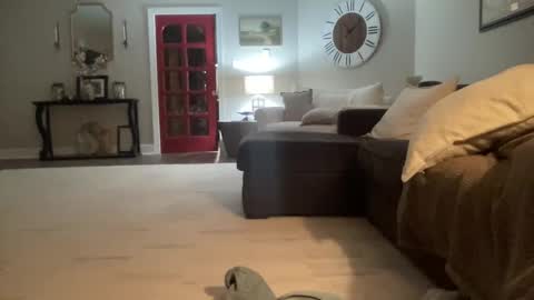 bwc2465 online show from 02-15-25, 04:03