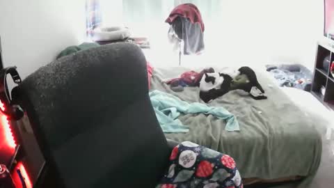 Snapshot of bxbydior chatting on 12-13-25, 07:53 bxbydior online show from 12-13-25, 07:53