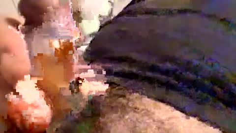 Cactus1041 online show from 12-30-24, 05:58