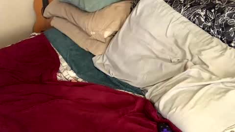 Cadillac P online show from 01-11-25, 09:15