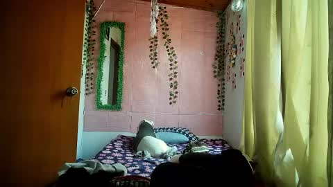 paula online show from 04-20-26, 09:16