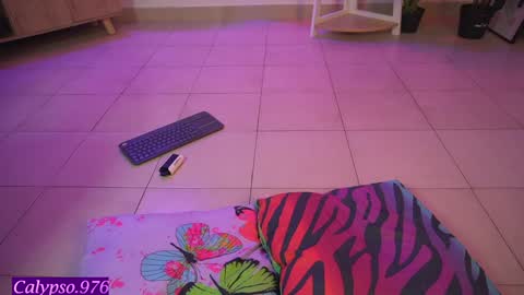 Calypso and Kayla online show from 01-22-25, 06:41