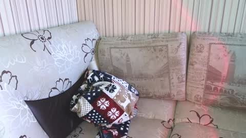 Snapshot of cameron_crowly chatting on 01-17-25, 09:17 Cameron online show from 01-17-25, 09:17