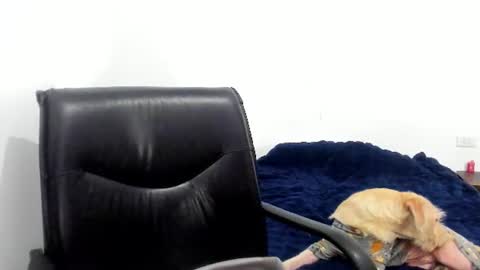 Snapshot of camila_berk chatting on 06-12-26, 04:22 Cami online show from 06-12-26, 04:22
