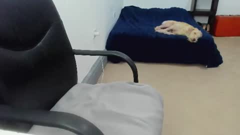 Snapshot of camila_berk chatting on 07-10-26, 08:33 Cami online show from 07-10-26, 08:33