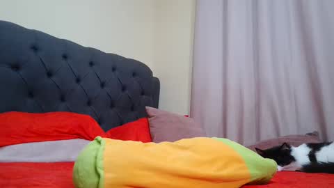 Snapshot of camilabrown23 chatting on 02-09-25, 09:26 Camila Browm online show from 02-09-25, 09:26