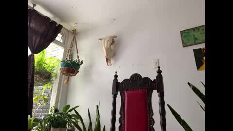  Camille   online show from 11-08-25, 02:39