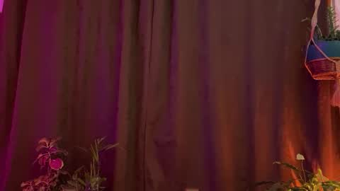  Camille   online show from 03-31-26, 01:07