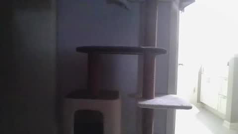 Snapshot of cammyman6900 chatting on 11-21-25, 04:22 cammyman6900 online show from 11-21-25, 04:22