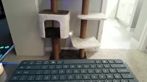cammyman6900 online show from 05-02-26, 05:12