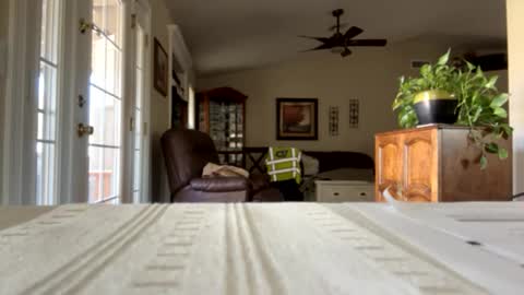 Snapshot of camperjay chatting on 01-30-25, 09:25 james online show from 01-30-25, 09:25