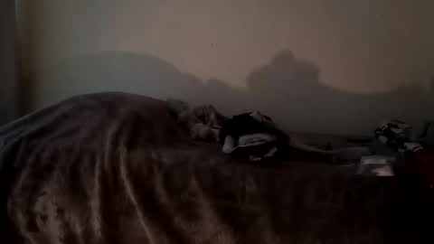 Snapshot of camren777 chatting on 10-07-25, 02:47 Camren online show from 10-07-25, 02:47