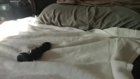 CanadianBoy88 online show from 01-27-25, 07:24