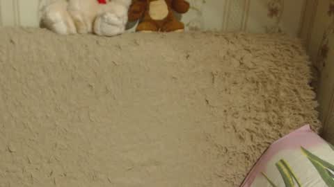 Snapshot of candylady136 chatting on 12-13-24, 05:21 say meow and send tip online show from 12-13-24, 05:21