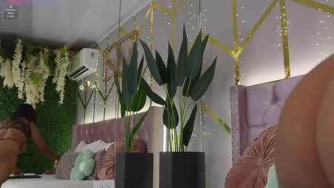 canela_montiel online show from 06-03-26, 12:52
