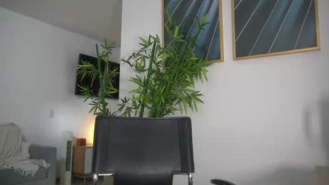 Snapshot of canelasungirl chatting on 09-10-25, 07:36 Jency NEW IG IMCANELA   online show from 09-10-25, 07:36