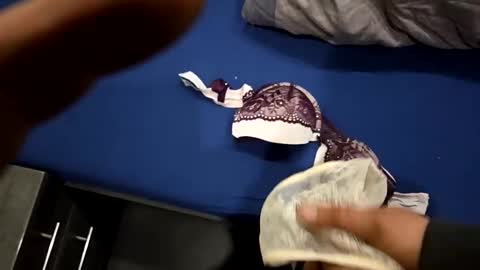 Snapshot of capoo24 chatting on 10-28-25, 10:08 capoo24 online show from 10-28-25, 10:08