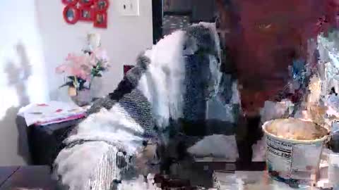 Snapshot of carliecreams chatting on 03-13-26, 02:45 Carlie online show from 03-13-26, 02:45