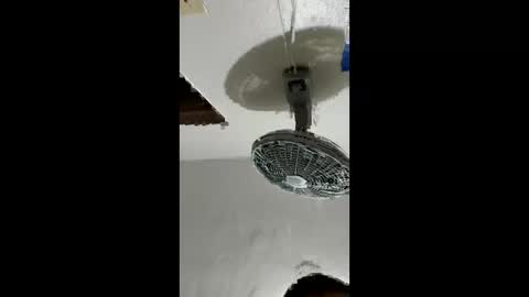 carlos201648 online show from 02-02-26, 02:38