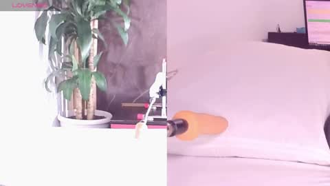 Carol online show from 04-25-26, 11:13