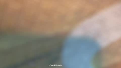 Char online show from 04-20-26, 12:24