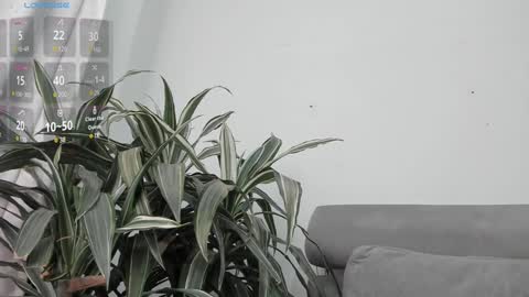 Snapshot of carolina_t chatting on 01-22-25, 12:59 carolina_t online show from 01-22-25, 12:59