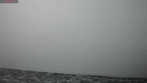 Camelia online show from 11-17-25, 11:32