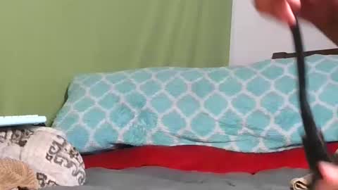 Snapshot of carolinayungin96 chatting on 11-11-25, 10:43 carolinayungin96 online show from 11-11-25, 10:43